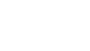 Gemeente oldenzaal_wit.png